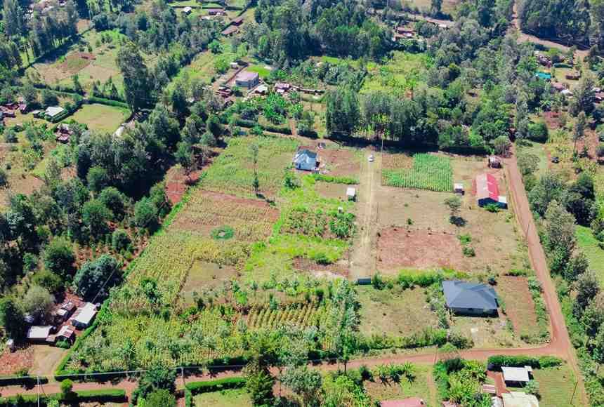 Plots For Sale In Kangaita – photo 2
