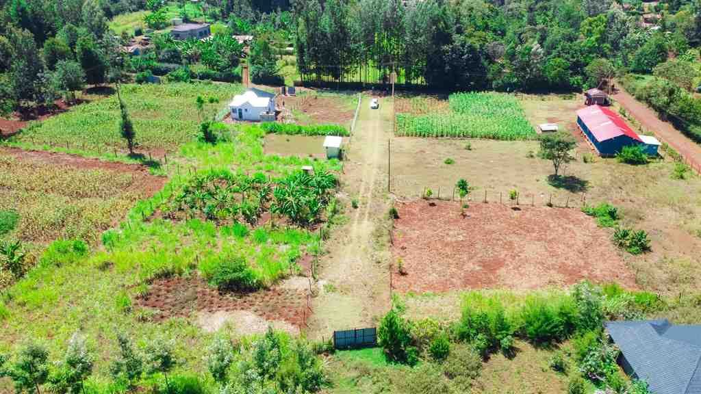 Plots For Sale In Kangaita – photo 4