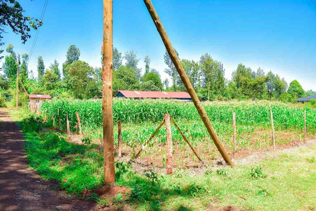 Plots For Sale in Laikipia East, Ngobit – photo 3
