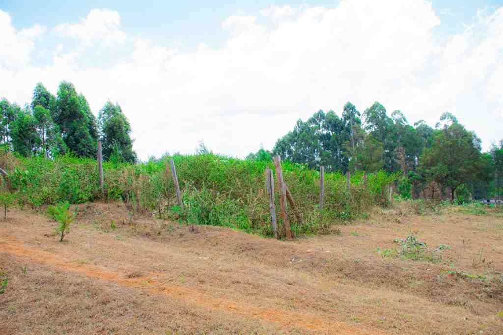 Plots For Sale In Karatina Town – photo 4