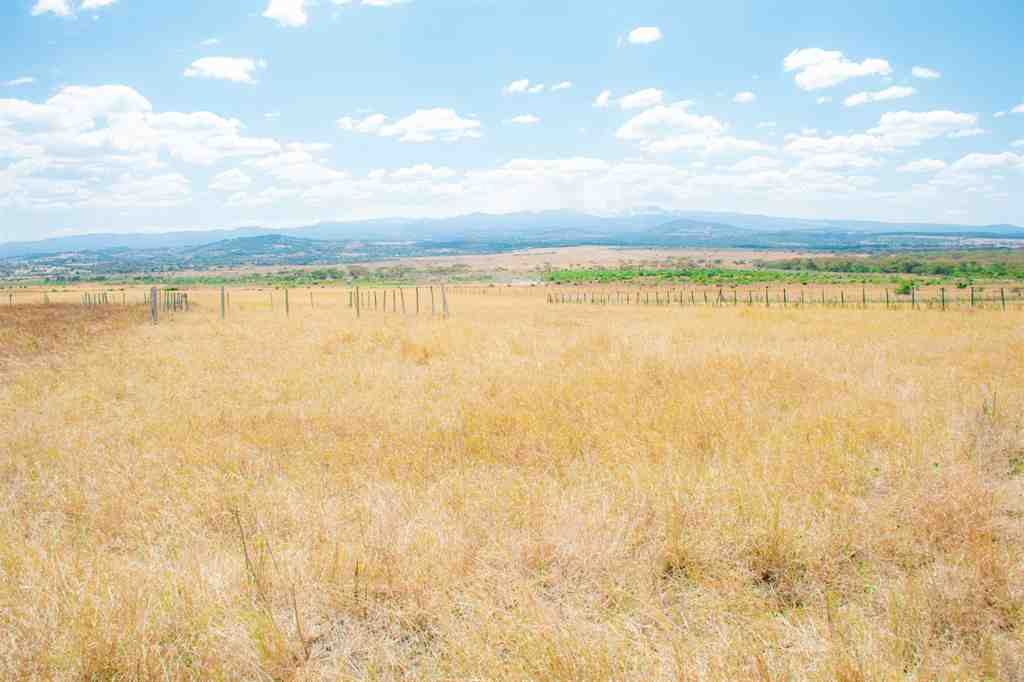 Plots For Sale In Kieni, Karicheni – photo 2