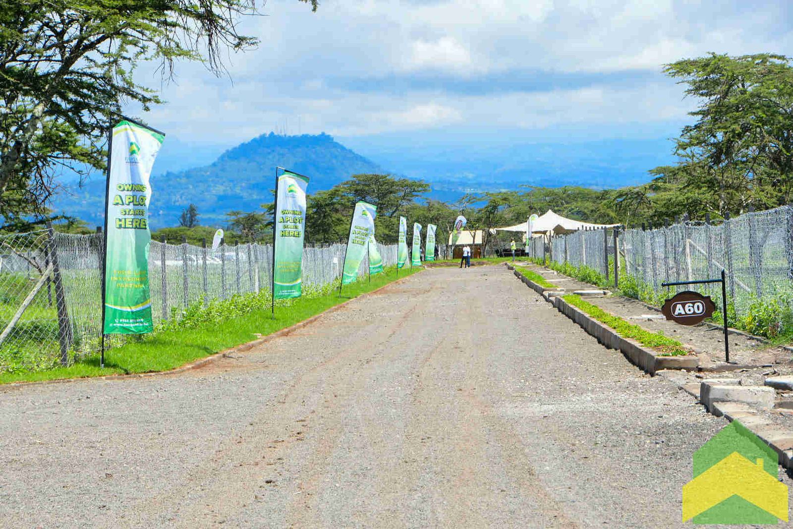 Chaka Ranch Homes – Premium Fully Serviced 1/4 Acre Plots for Sale in Chaka, Nyeri – photo 4