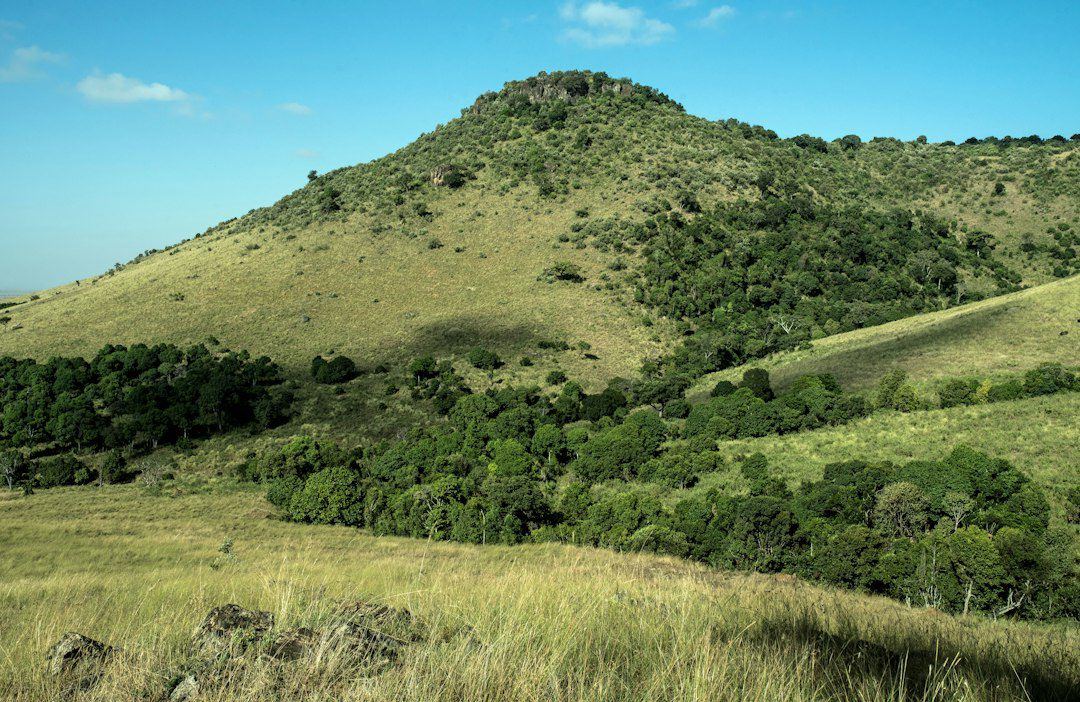 Final Checklist: From Shortlist to Title Deed in Kenya