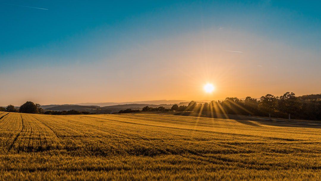 Agricultural Land vs Residential Plots: How Kenya’s Market Is Shifting