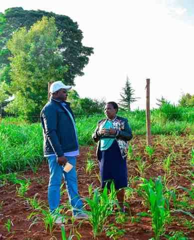 Nyarugumu Plots Launching – photo 128