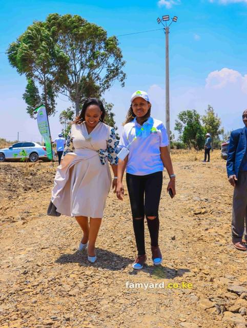 Chaka Lane 15 Famyard Estate Launch – photo 20
