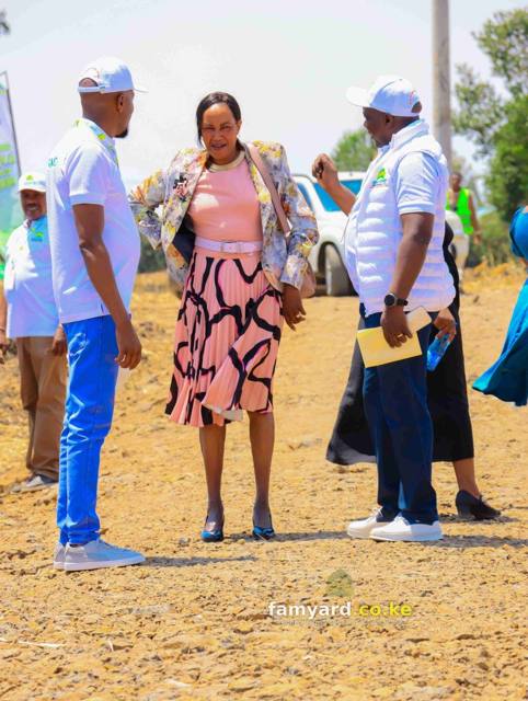 Chaka Lane 15 Famyard Estate Launch – photo 32