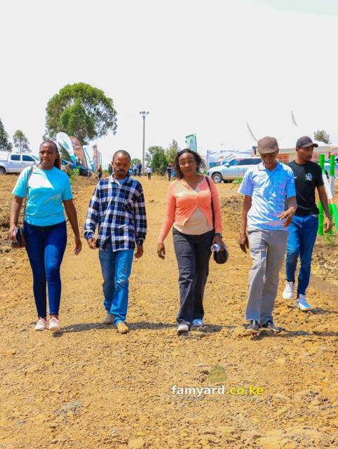 Chaka Lane 15 Famyard Estate Launch – photo 46