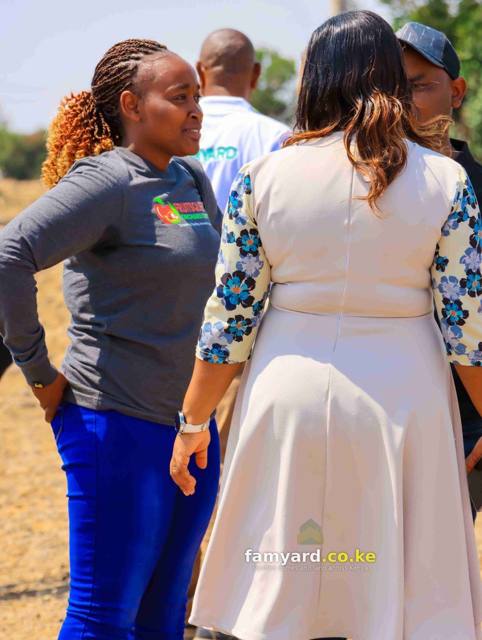 Chaka Lane 15 Famyard Estate Launch – photo 76