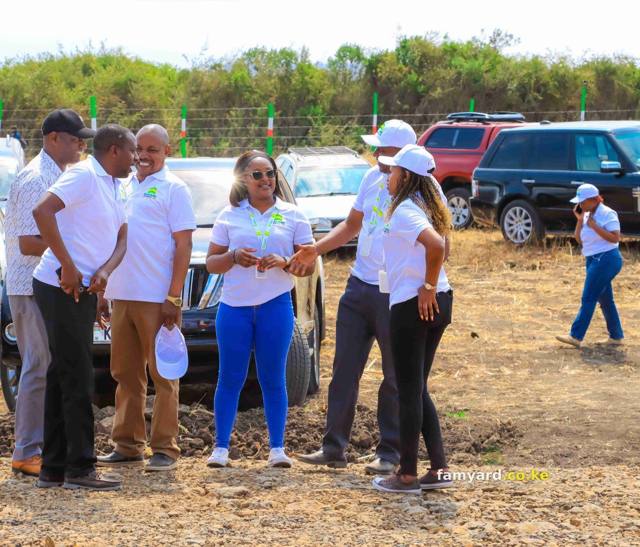 Chaka Lane 15 Famyard Estate Launch – photo 116